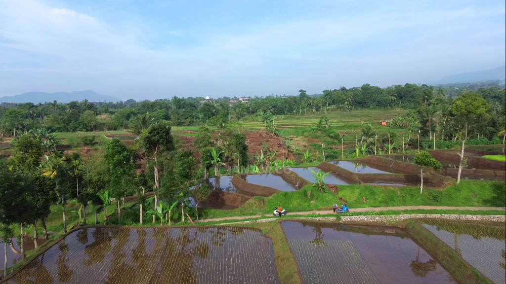 desa sarampad cugenang hamparan kebun
