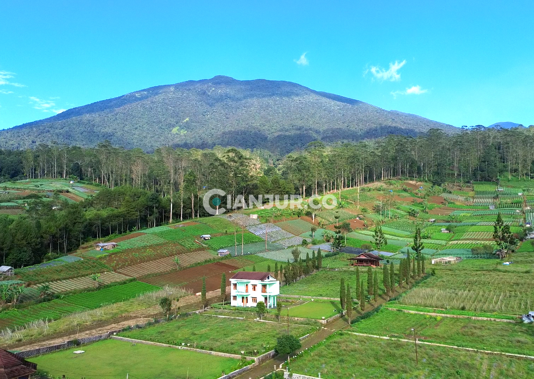 desa Cugenang kecamatan Kabupaten-cianjur - Kabupaten Jawa Barat
